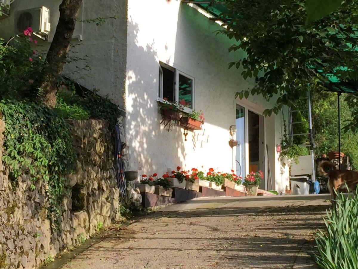 Su Da Noi Bed & Breakfast San Dorligo della Valle Ngoại thất bức ảnh