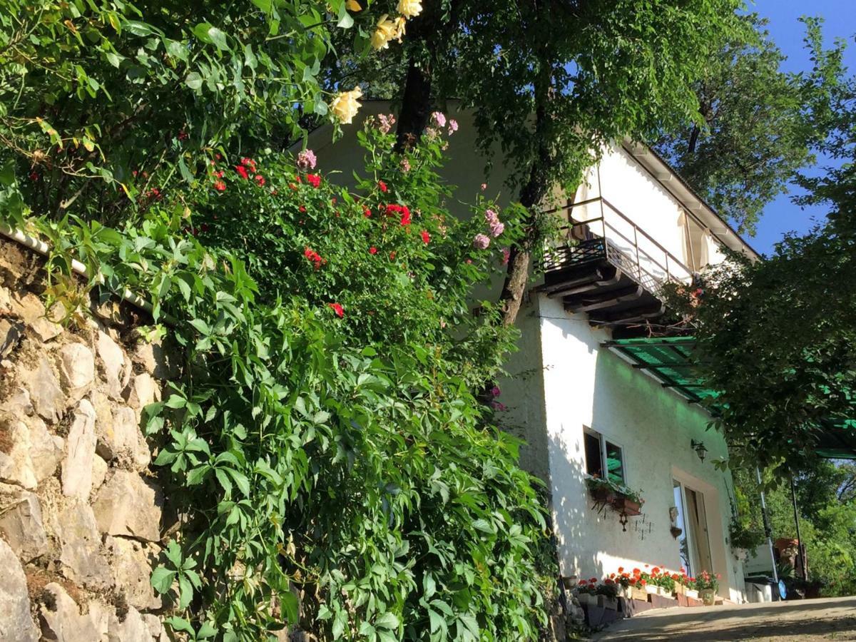 Su Da Noi Bed & Breakfast San Dorligo della Valle Ngoại thất bức ảnh