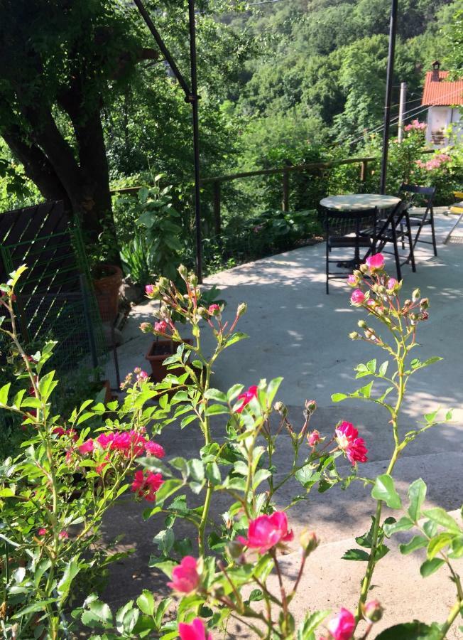 Su Da Noi Bed & Breakfast San Dorligo della Valle Ngoại thất bức ảnh